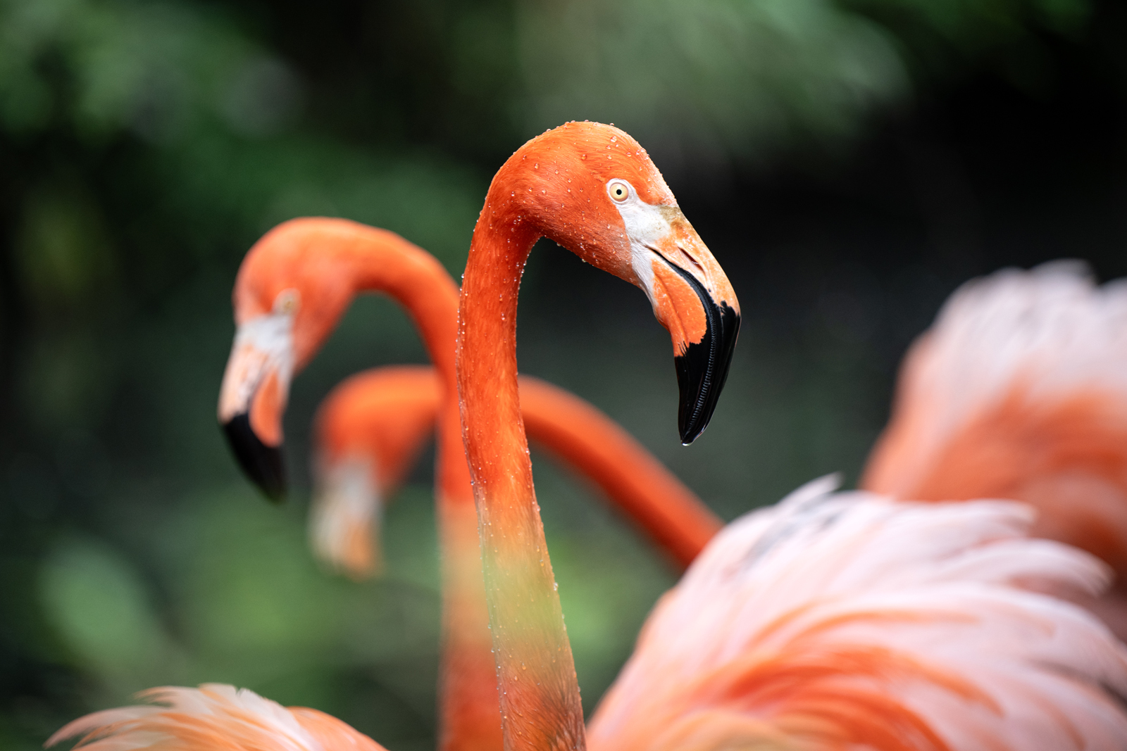 Nature 6